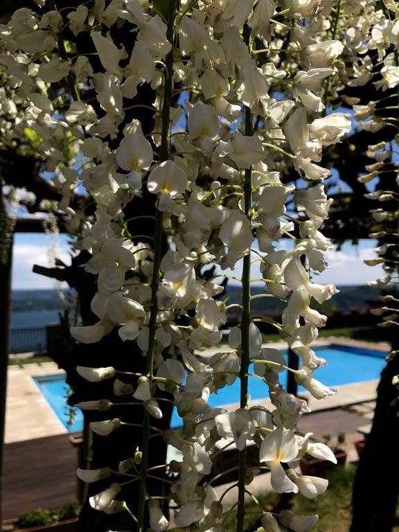 Casamariuccia Guest House Massino Visconti Ngoại thất bức ảnh